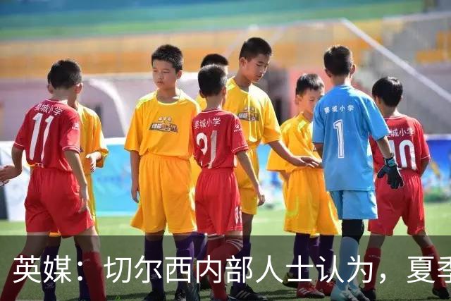 英媒：切尔西内部人士认为，夏季转会窗口的操作堪称巨大成功